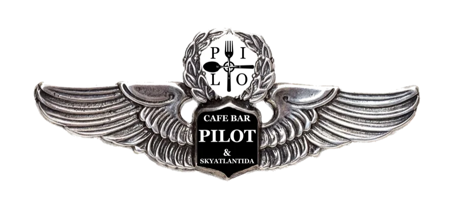 Pilot & SkyAtlantida wings badge