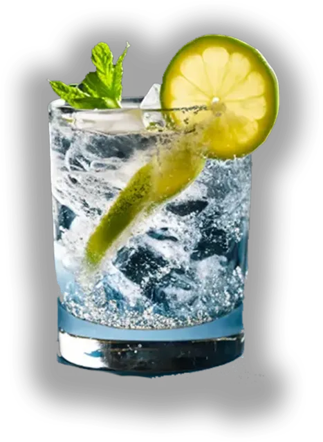 Gin & tonic — PILOT Cafe-Bar Gudauri
