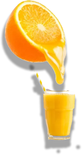 Freshly squeezed orange juice — PILOT Cafe-Bar Gudauri