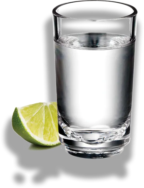 Vodka Danzka — PILOT Cafe-Bar Gudauri